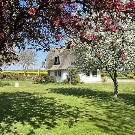 Villa Private 2 Ha Nature 343 M Thatched Idyll Skovmose