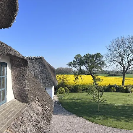 Private 2 Ha Nature 343 M Thatched Idyll Villa Skovmose